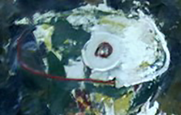   1965 .