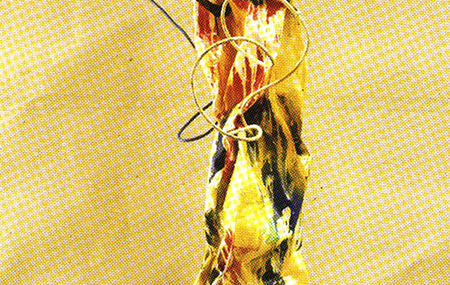  . 1970 ., .